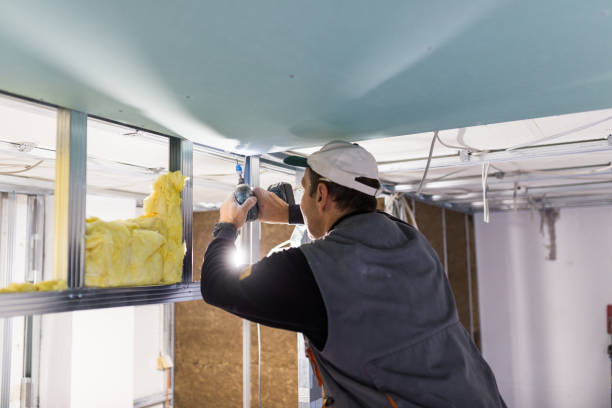 Insulation Repair Services in Lake Orion, MI