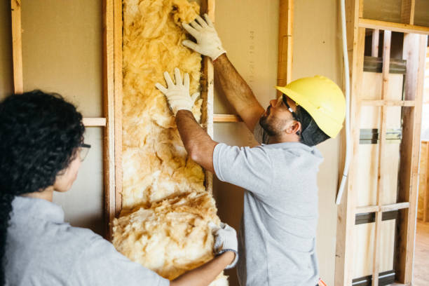 Best Spray Foam Insulation  in Lake Orion, MI