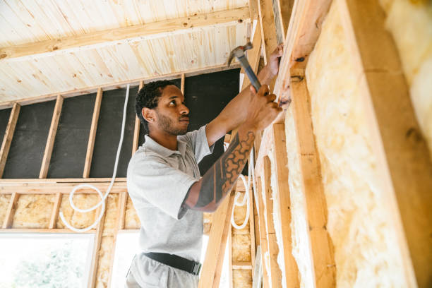 Best Attic Insulation Installation  in Lake Orion, MI