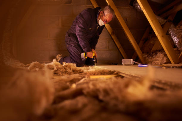 Best Local Insulation Services  in Lake Orion, MI